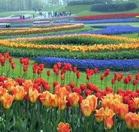 Botanica World Discoveries - Whitsundays Accommodation