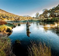 Fly Fishing Tumut - Whitsundays Accommodation