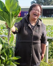 TCP Day Tours - Whitsundays Accommodation 3