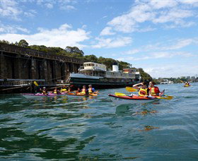 Natural Wanders - Whitsundays Accommodation 5