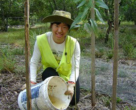 Conservation Volunteers Australia - Sydney - Whitsundays Accommodation 1