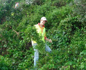 Conservation Volunteers Australia - Sydney - Whitsundays Accommodation 2