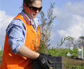Conservation Volunteers Australia - Sydney - Whitsundays Accommodation 3