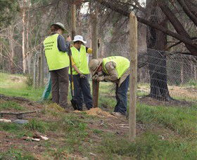 Conservation Volunteers Australia - Sydney - Whitsundays Accommodation 4