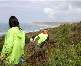 Conservation Volunteers Australia - Sydney - Whitsundays Accommodation 5