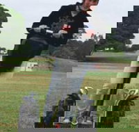 Segway Tours Australia - Whitsundays Accommodation