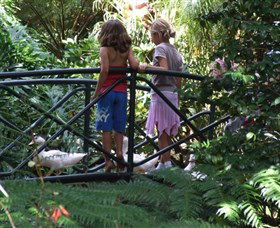 EG Waterhouse National Camellia Garden - Whitsundays Accommodation 0