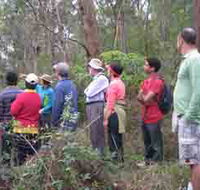Boronia Tours - Whitsundays Accommodation
