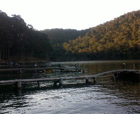 Church Point Ferry Service - Whitsundays Accommodation 5