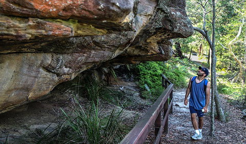 Aboriginal Heritage Walk - Whitsundays Accommodation 0