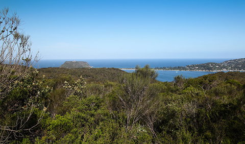 Aboriginal Heritage Walk - Whitsundays Accommodation 1