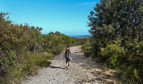 Aboriginal Heritage Walk - Whitsundays Accommodation 3
