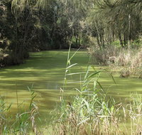 Second Ponds Creek walk - Whitsundays Accommodation