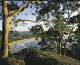 Ocean Beach Umina - Whitsundays Accommodation 0