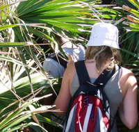 Palm Jungle loop track - Whitsundays Accommodation