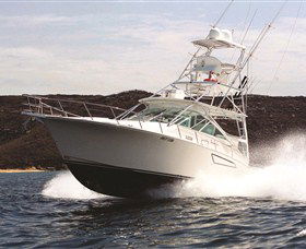 1300 Big Fish - Whitsundays Accommodation 0