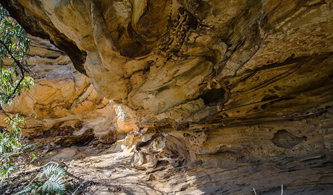 Marramarra National Park - Whitsundays Accommodation 0