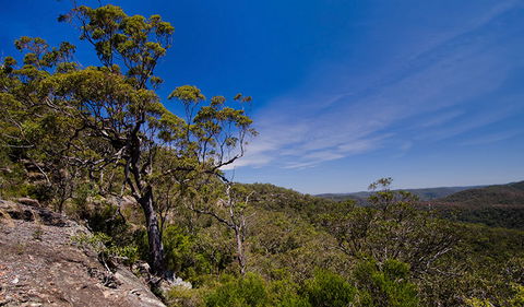 Marramarra National Park - Whitsundays Accommodation 1