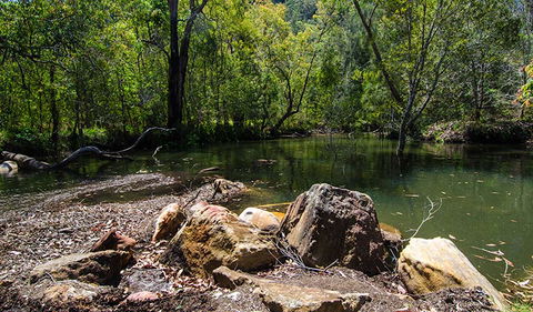 Marramarra National Park - Whitsundays Accommodation 3