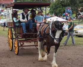 The Australiana Pioneer Village Ltd - Whitsundays Accommodation 2