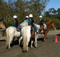 Darkes Forest Riding Ranch - Whitsundays Accommodation