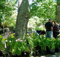 The Stirling Market - Whitsundays Accommodation