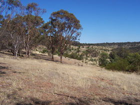 Onkaparinga River National Park - Whitsundays Accommodation 0