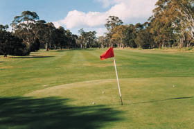 Echunga Golf Club Incorporated - Whitsundays Accommodation 2