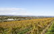 The Winery Door - thumb 0