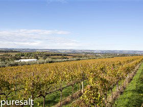 The Winery Door - Whitsundays Accommodation 0