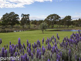 The Winery Door - Whitsundays Accommodation 1