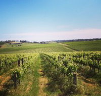 Adelaide Winemakers