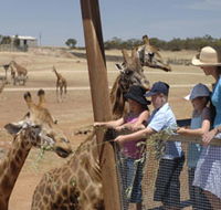 Monarto Open Range Zoo - Whitsundays Accommodation