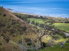 Lady Bay Beach - Whitsundays Accommodation 1