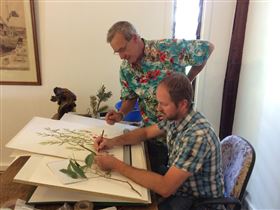 The Stable Studio At The Mill - Whitsundays Accommodation 3