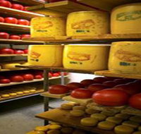 Alexandrina Cheese Company - Whitsundays Accommodation
