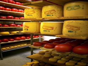Alexandrina Cheese Company - Whitsundays Accommodation 0