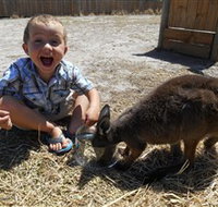 Animal Farm Goolwa - Whitsundays Accommodation