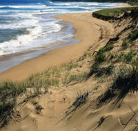 Newland Head Conservation Park - Whitsundays Accommodation