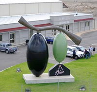 The Big Olive - Whitsundays Accommodation