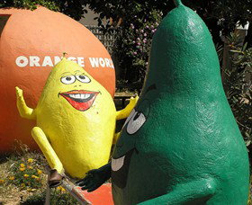 Orange World - Whitsundays Accommodation 0