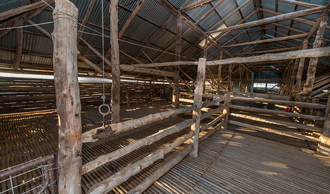 Mungo Woolshed - Whitsundays Accommodation 2