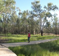 Ben Scott Memorial Bird Trail - Whitsundays Accommodation