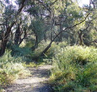 Nilla Yannagalang Billana - Whitsundays Accommodation