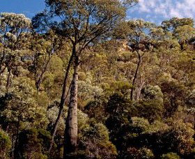 Ka Ka Mundi, Carnarvon National Park - Whitsundays Accommodation 0