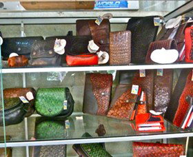 Barra Shack - Whitsundays Accommodation 2