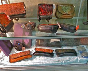 Barra Shack - Whitsundays Accommodation 5