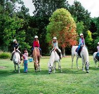 Limestone Coast Horseriding - Whitsundays Accommodation