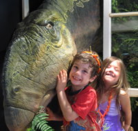 Australian Opal Centre - Whitsundays Accommodation