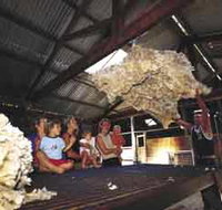 Shear Outback the Australian Shearers Hall of Fame - Whitsundays Accommodation